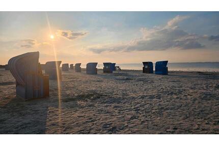 Urlaub auf dem Gulfhof ~ Feriewohnung für Naturliebhaber Nordsee - Hage