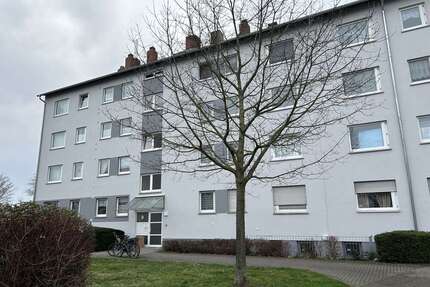 Wohnung zum Mieten in Hattersheim 700,00 € 67 m²