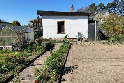 gepflegter Garten in einer Kleingartenanlage - Cottbus