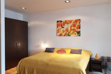 Loftartiges Apartment mit großem Balkon im Regierungsviertel - Bonn Gronau