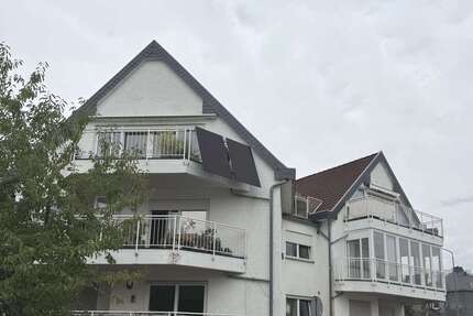 Wohnung zum Mieten in Steinbach 1.400,00 € 120 m²