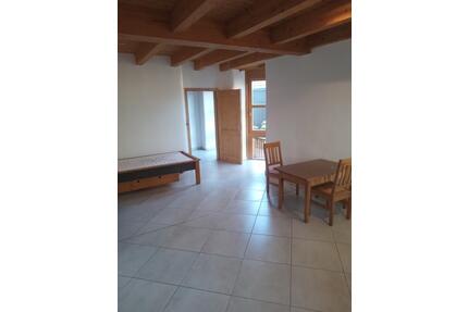 1,5 Zimmer-Wohnung - 400,00&nbsp;EUR Kaltmiete, ca.&nbsp; 40,00&nbsp;m&sup2; in Hallstadt (PLZ: 96103)