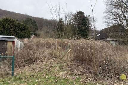 Grundstück zu verkaufen in Rinteln - Todenmann 120.000,00 € 1166 m²