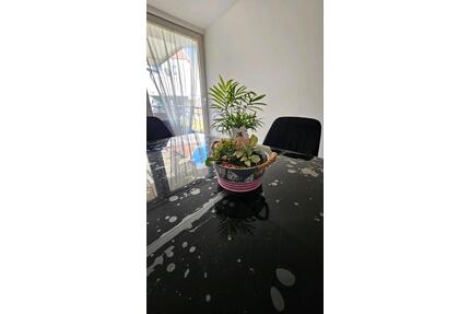 Einfamilienhaus in Duisburg Rheinhausen top Lage mit eigenem