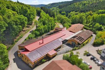 Halle in Wald-Michelbach 2.196,00 € 520 m²