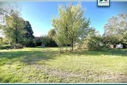 Haus zum Kaufen in Bramsche 584.900,00 € 443 m²