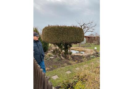 Kleingarten - 850,00&nbsp;EUR Kaltmiete, ca.&nbsp; 0,00&nbsp;m&sup2; in Chemnitz (PLZ: 09130) Hilbersdorf