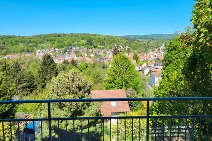 Einfamilienhaus mit unverbaubarem Traumausblick - Bammental