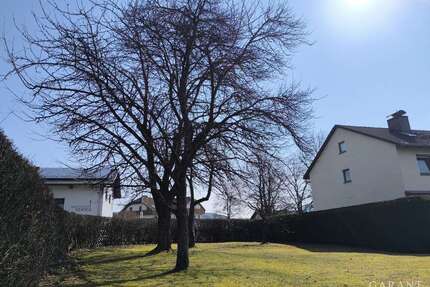 Grundstück zu verkaufen in Regen 120.000,00 € 560 m²