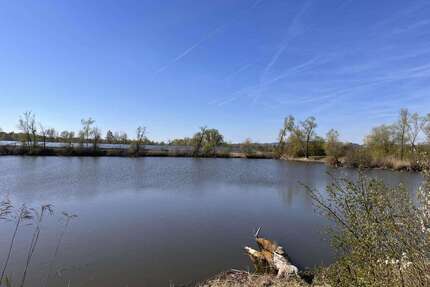 Grundstück zu verkaufen in Geisling 25.000,00 € 4500 m²