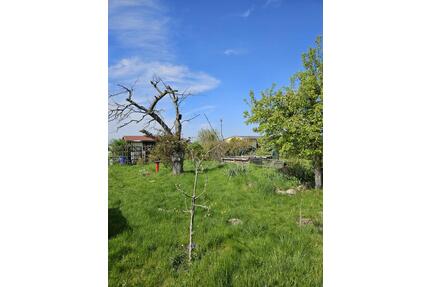 Kleingarten in Gerichshain - 2.000,00&nbsp;EUR Kaltmiete, ca.&nbsp; 0,00&nbsp;m&sup2; in Machern (PLZ: 04827)