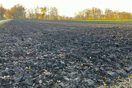 Grundstück zu verkaufen in Moosinning 230.000,00 € 10017 m²