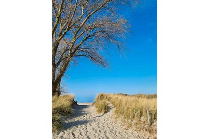 1. Mai frei - Ostsee Ferienhaus Sehlendorf Hohwachter Bucht - Blekendorf