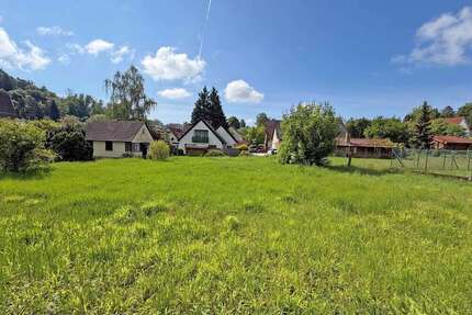 Grundstück zu verkaufen in Neckargemünd 338.000,00 € 1544 m²
