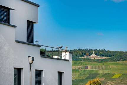 Haus zum Kaufen in Bingen am Rhein 2.495.000,00 € 369 m²