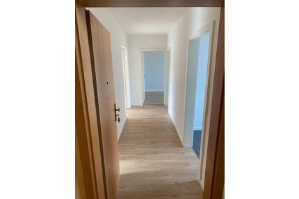 Komplett neu renovierte 2,5-3 Zimmerwohnung zu vermieten - Torgau