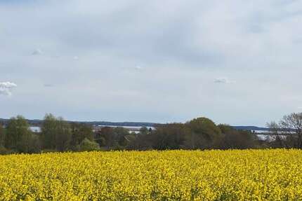 Grundstück zu verkaufen in Schleswig 179.000,00 € 1202 m²