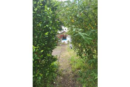 KleingartenParzelle im KGV Goldene Höhe - Leipzig Nord