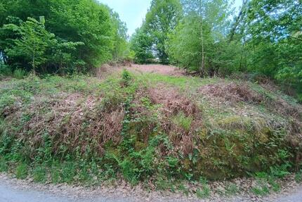 Idyllisch & Naturbelassen: Waldgrundstück nahe Baden-Baden - Forbach