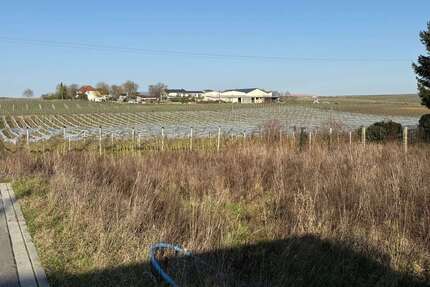 Grundstück zu verkaufen in Impflingen 210.000,00 € 397 m²