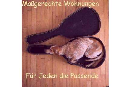 Wohnung zum Mieten in Magdeburg 395,00 € 35 m²