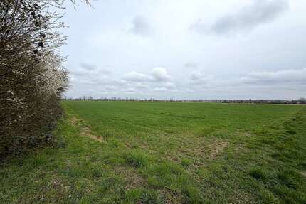 Grundstück in Rodgau 27.500,00 € 6087 m²