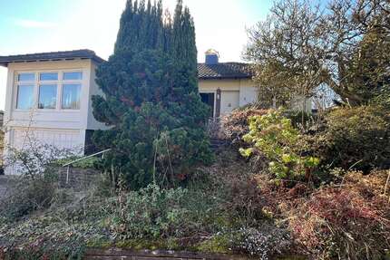 Haus zum Kaufen in Bad Salzuflen 445.000,00 € 146 m²