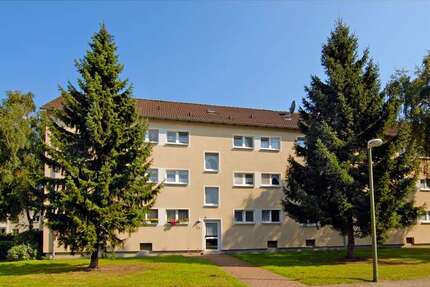 Wohnung zum Mieten in Recklinghausen 193,18 € 44 m²