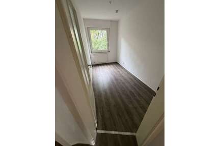 Wohnung zum Mieten in Köln 710,00 € 43 m²