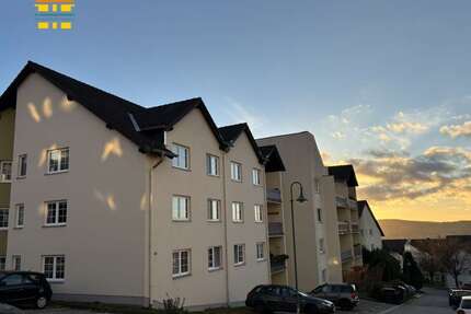 Wohnung zum Mieten in Lauter-Bernsbach 545,00 € 81 m²