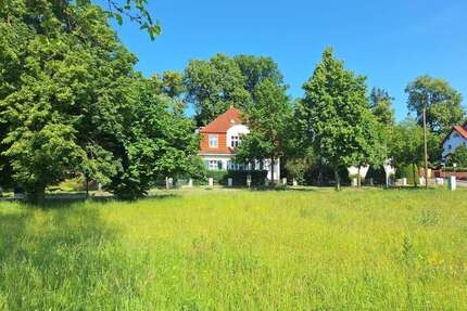 Haus zum Kaufen in Wolgast 254.000,00 € 239.99 m²