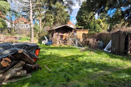 Garten Grundstück Miete Pacht ruhig + Bungalow 200 m² - Dresden Leuben