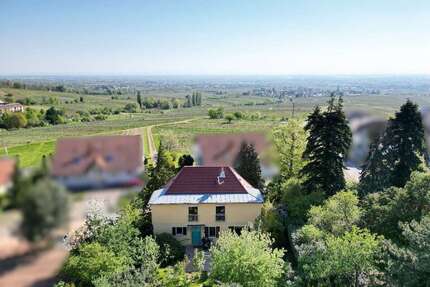 Haus zum Kaufen in Weyher in der Pfalz 748.000,00 € 150 m²
