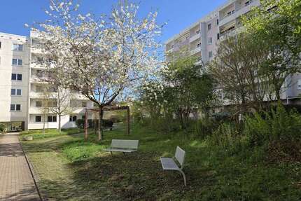 Wohnung zum Mieten in Meiningen 368,00 € 67 m²