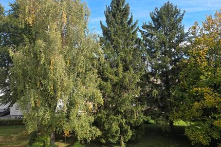 Renovierte 3-Zimmer Wohnung in Erding - provisionsfrei ab sofort