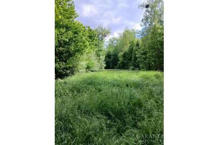 Grundstück in Buxheim 129.900,00 € 14960 m²