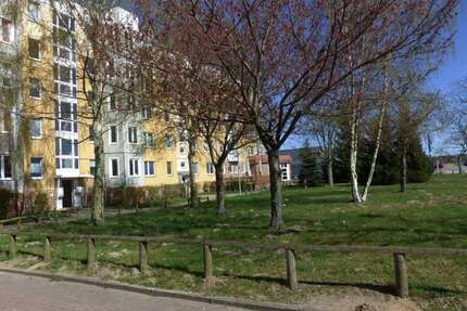 Wohnung zum Mieten in Schwerin 334,00 € 58.3 m²