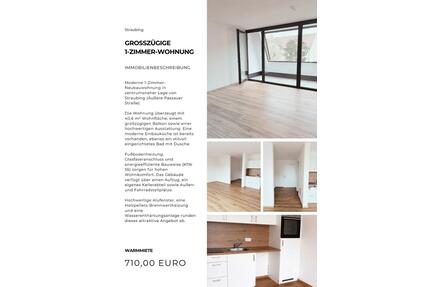 Hochwertige Ein-Zimmer-Wohnung in Straubing