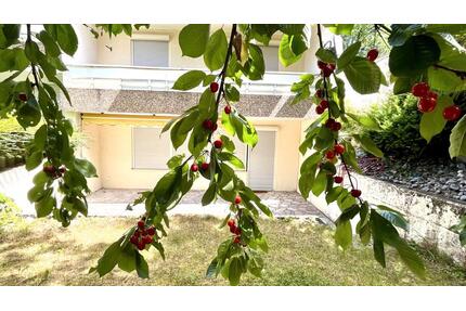 Super schöne Familienwohnung in Bestlage von Heilbronn-Ost