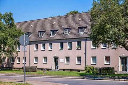 Wohnung zum Mieten in Gelsenkirchen 309,00 € 45 m²