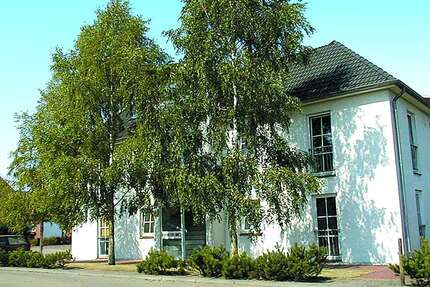 Wohnung zum Mieten in Elmshorn 340,00 € 28 m²