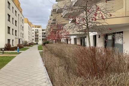 Wohnung zum Mieten in Ludwigshafen 1.363,15 € 114.84 m²