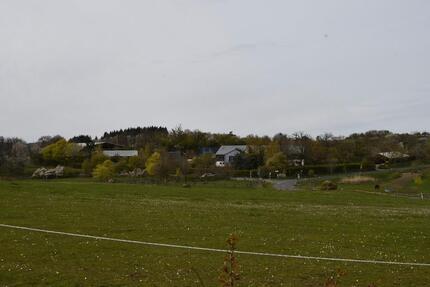 Bauernhof ( Bio Betrieb), Gestüt, Reitanlage, Alleinlage - Idar-Oberstein