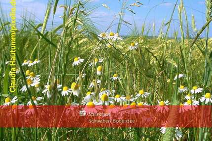 Grundstück in Ursberg 24.000,00 € 4060 m²