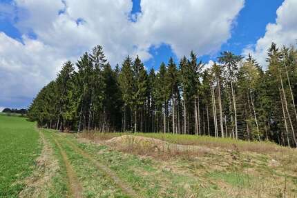 Grundstück in Helmbrechts 13.000,00 € 5350 m²