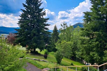 Liebevoll neu renoviertes Appartement im Schwarzwald - Bad Mergentheim