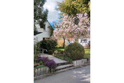 Einfamilienhaus 228 qm mit Gewerbeeinheit - Bohmte