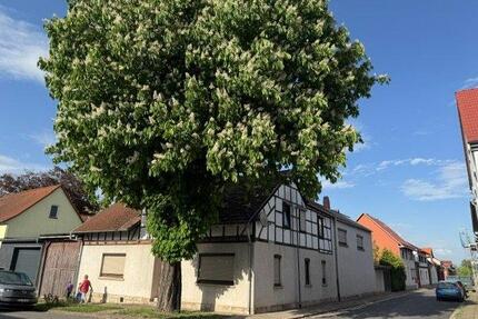 Charmantes Anwesen mit großem Grundstück, Scheune und Garten - Herbsleben