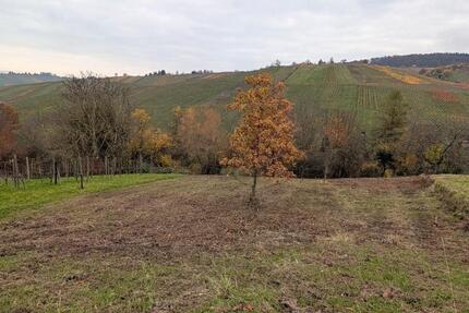 Freizeitgrundstück 1.000 m² mit Panoramablick über Weinstadt