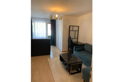 1-room apartment for sublet – Poccistraße 2, Munich 6 month-1year - München Ludwigsvorstadt-Isarvorstadt